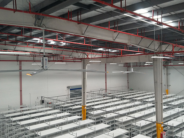 福泰工業(yè)大風(fēng)扇，一招解決高溫悶熱！